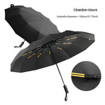 "Rainy" Automatic Umbrella | Ombrello Automatico "Rainy"