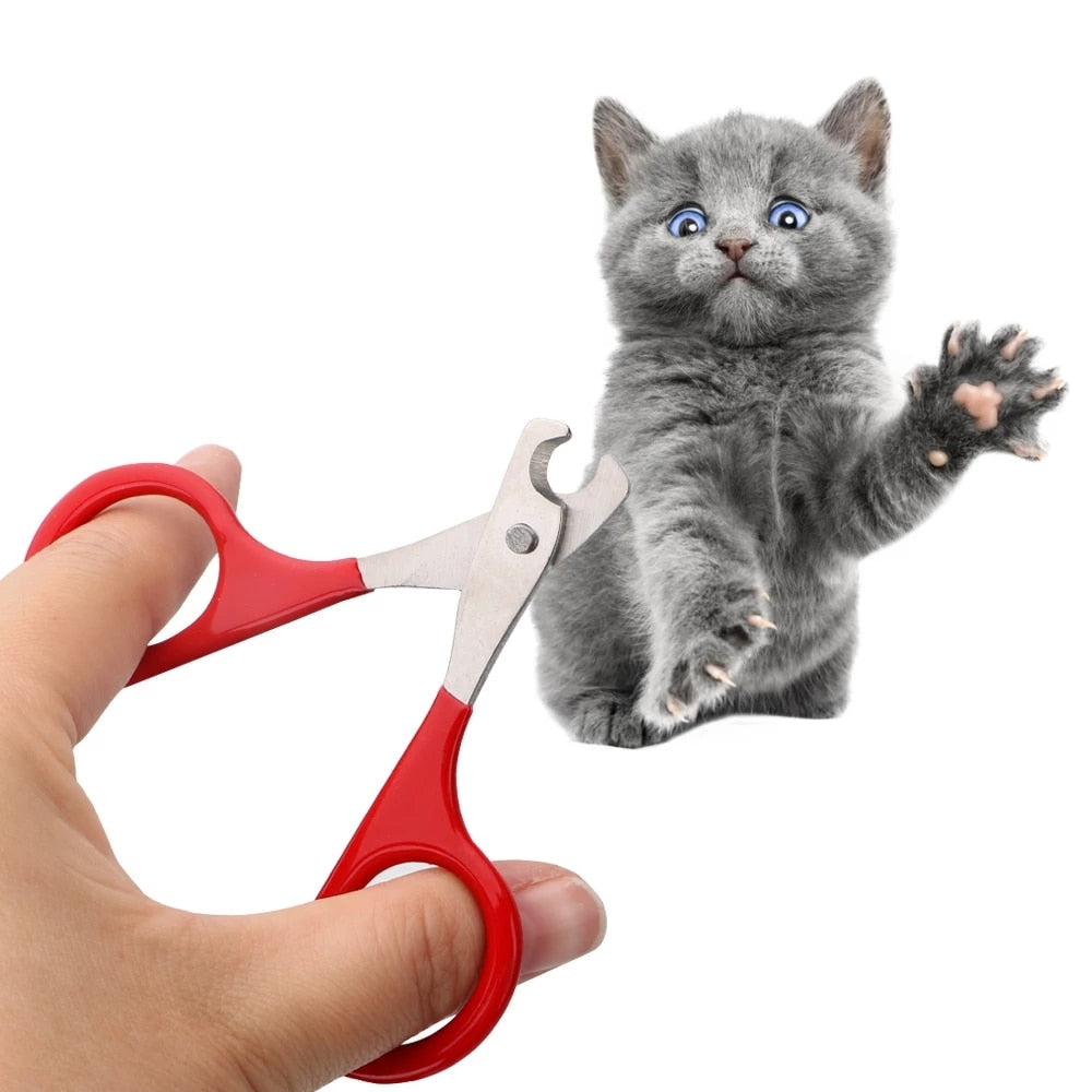 Scissors for Pets | 
Forbici per animali domestici