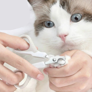 Scissors for Pets | 
Forbici per animali domestici