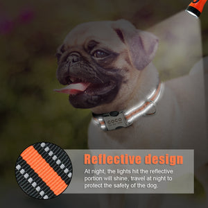 Personalized Nylon Collar for Dog | Collare Personalizzato in Nylon per Cani