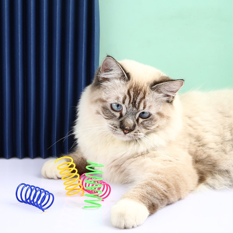 Spirals Kitten Toys | Molle multicolori per Gatti