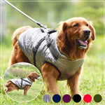 Dog Jacket Waterproof | Pettorina Per cani Waterproof