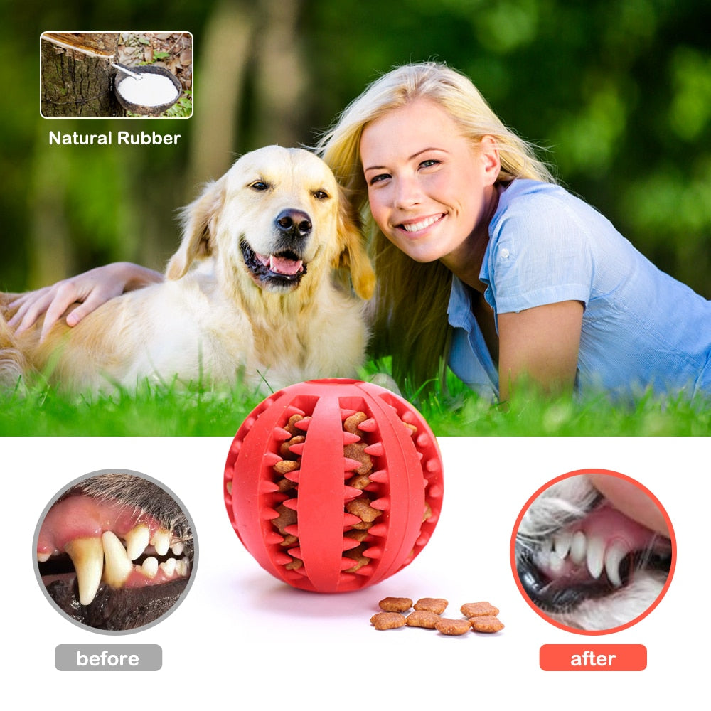 Pet Toy Interactive Rubber Balls | Pallina Gommosa Per Animali Domestici