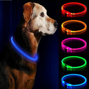 LED Dog Collar | Collare LED per Cani