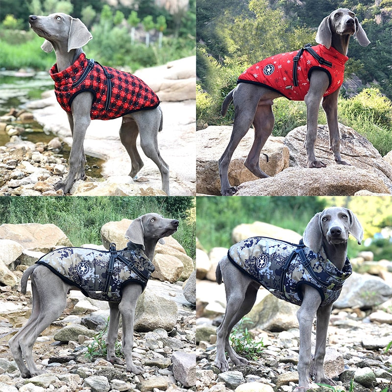 Dog Jacket Waterproof | Pettorina Per cani Waterproof