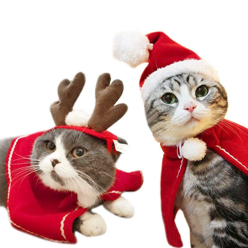 Christmas Outfit for Pets | Outfit Natalizio per Animali Domestici