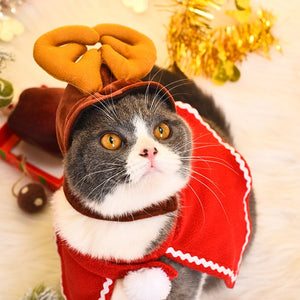 Christmas Outfit for Pets | Outfit Natalizio per Animali Domestici