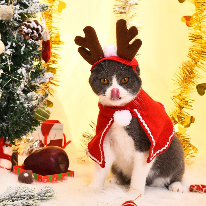 Christmas Outfit for Pets | Outfit Natalizio per Animali Domestici