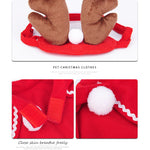 Christmas Outfit for Pets | Outfit Natalizio per Animali Domestici