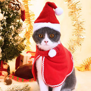Christmas Outfit for Cats & Dogs | Outfit Natalizio per Cani & Gatti